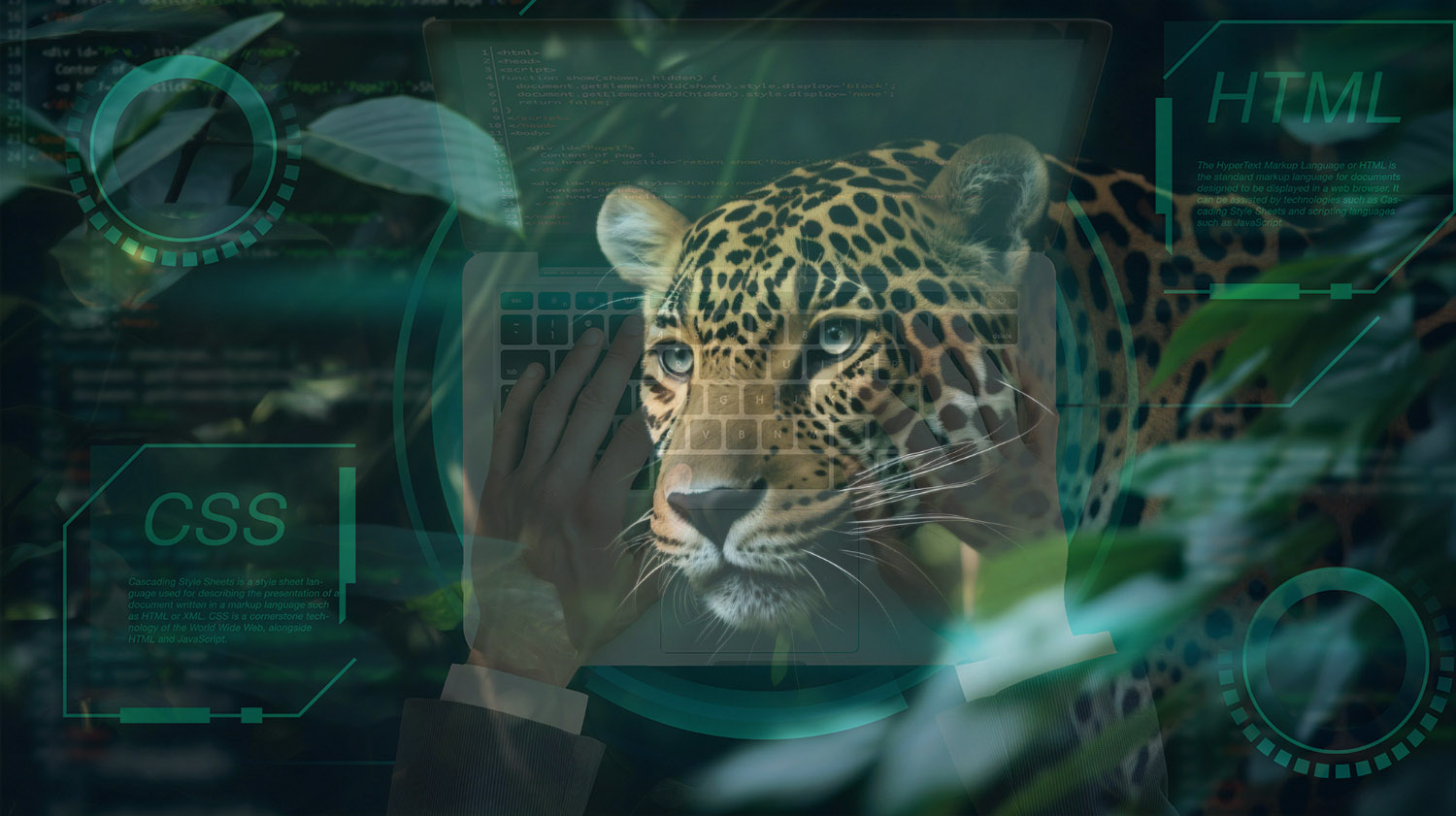 Custom software and mobile app development solutions for modern businesses